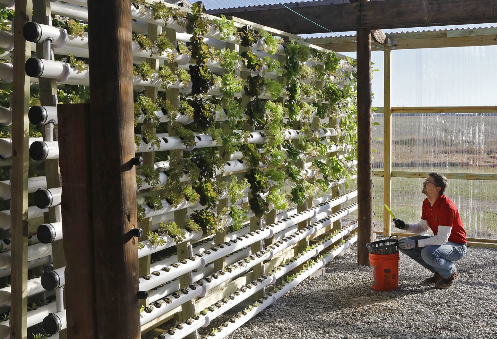 The Mueth brothers give vertical farming a try